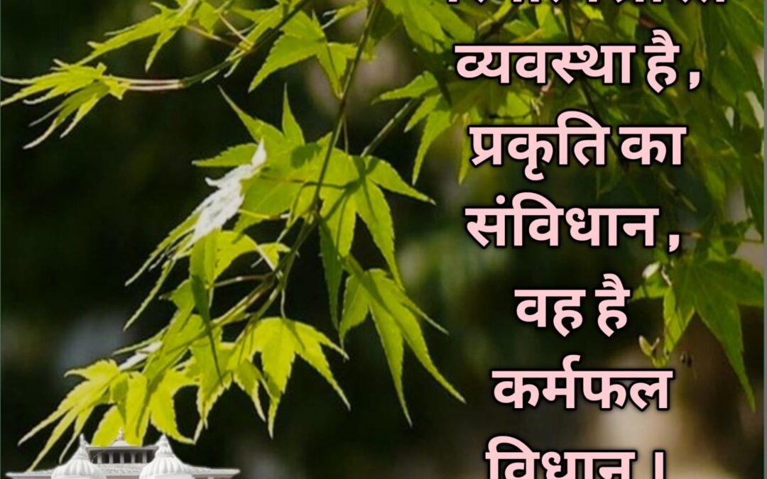 सुविचार (शुक्रवार, 14 अक्टूबर 2022)