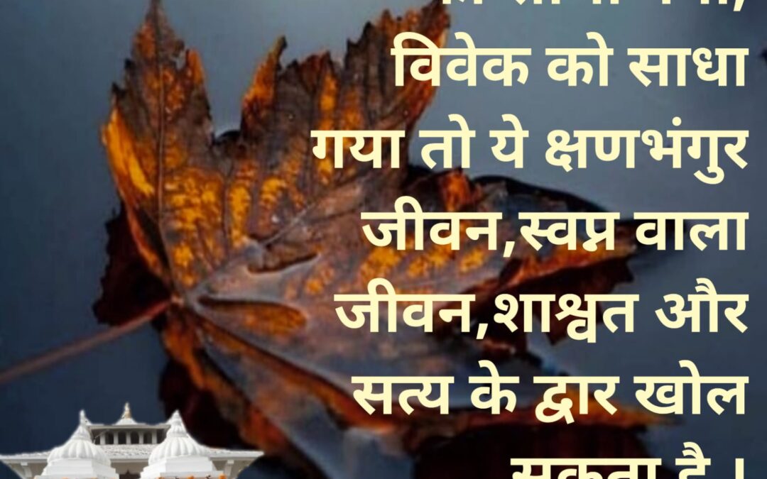 सुविचार (मंगलवार, 15 नवंबर 2022)