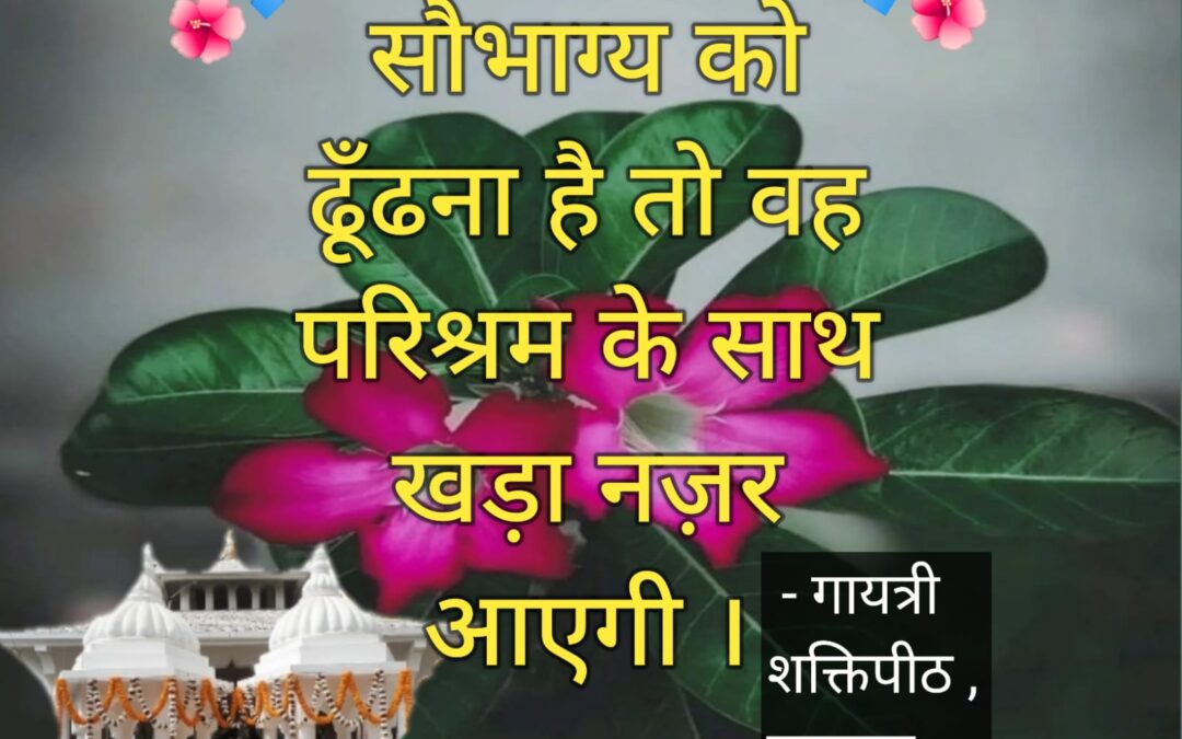 सुविचार (मंगलवार, 09 मई 2023)