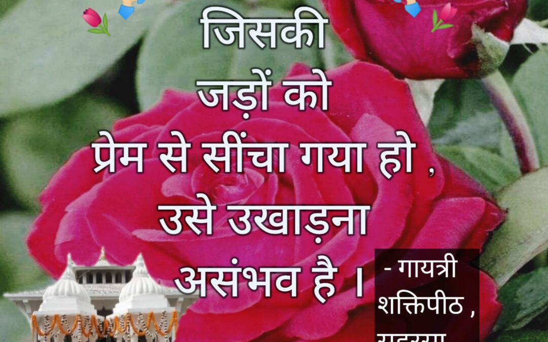 सुविचार (गुरुवार, 11 मई 2023)
