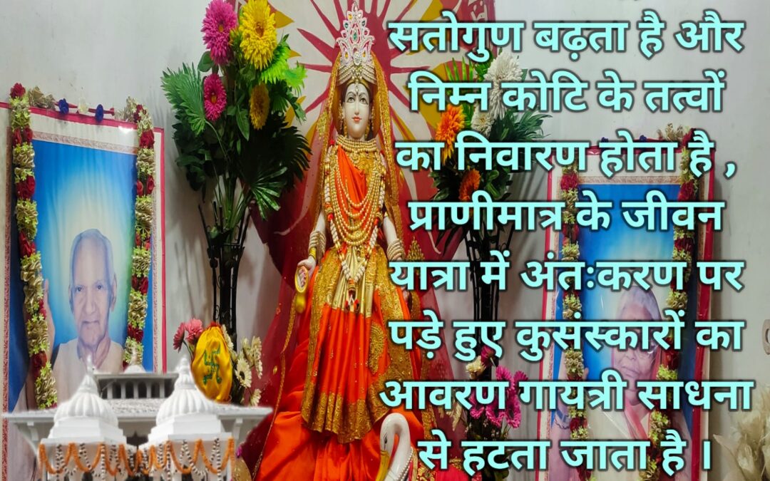 सुविचार (रविवार, 14 जुलाई 2024)